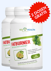 ICG Fatburner Abbild