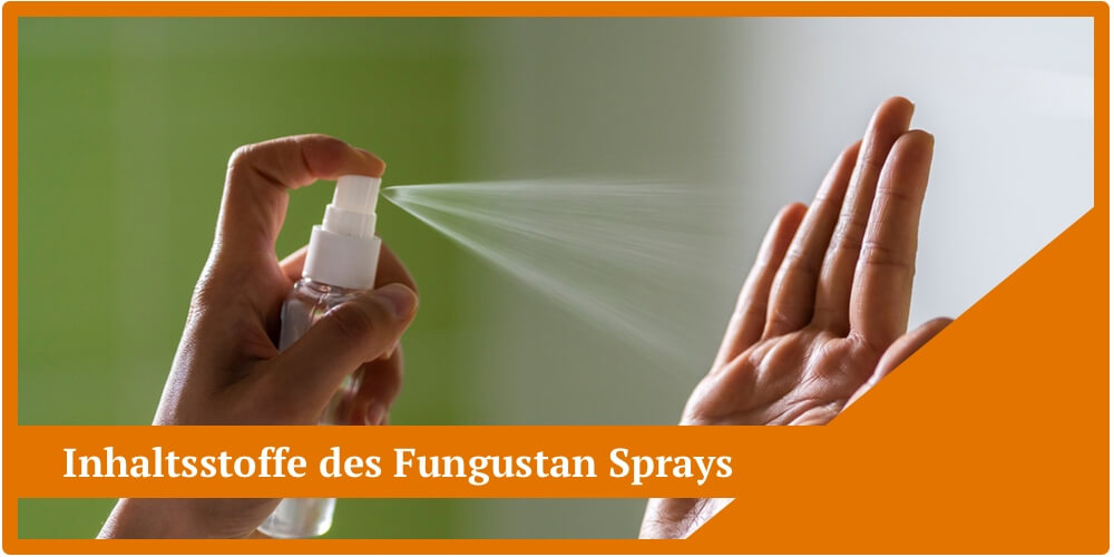 fungustan spray inhaltsstoffe wirkstoffe