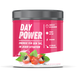 DayPower