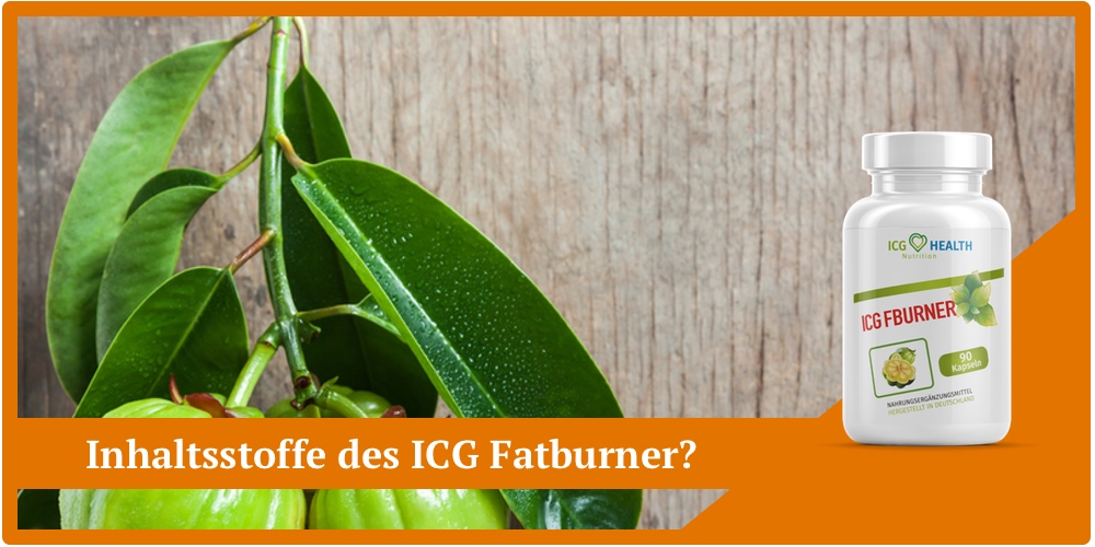 icg fatburner kapseln abnehmen inhaltsstoffe garcinia cambogia