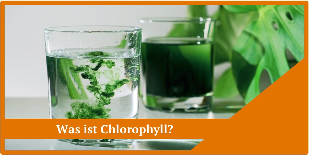 Was ist Chlorophyll?