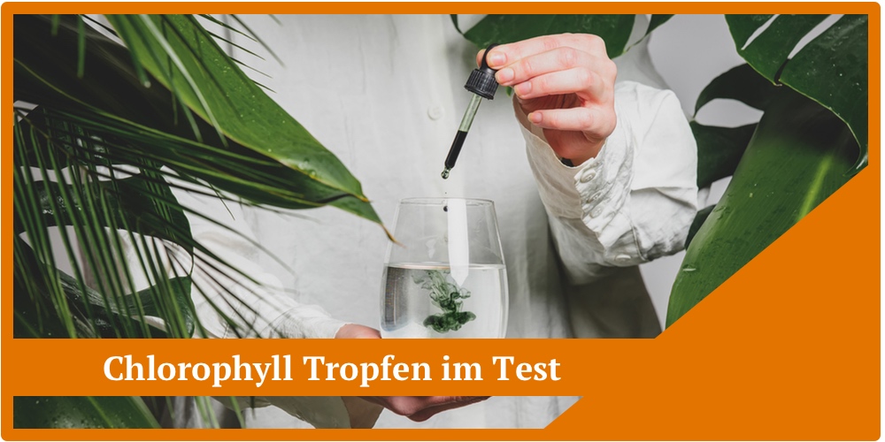 Flüssiges Chlorophyll Tropfen Test