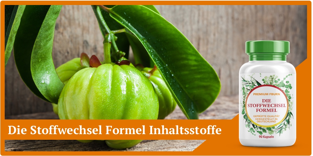 Die Stoffwechsel Formel: Inhaltsstoffe und Wirkstoffe