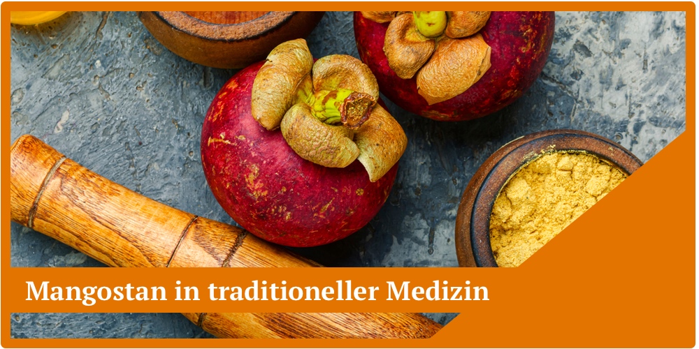 Die Mngostan Frucht wird in der traditionellen Medizin eingesetzt