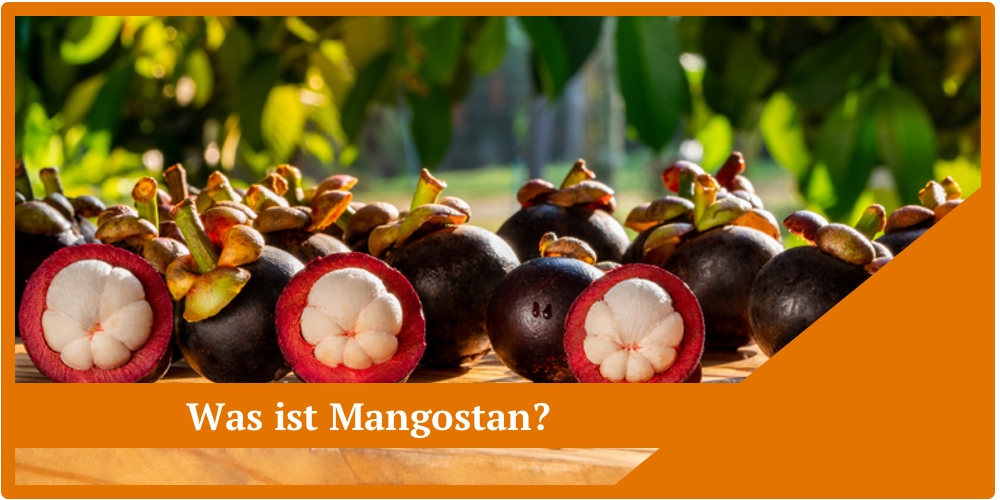 Was ist eine Mangotan Frucht