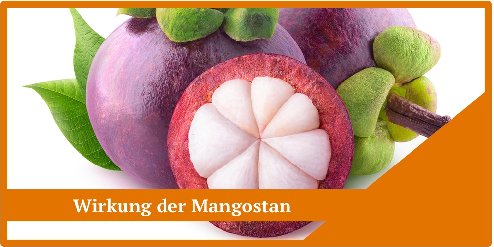 Die Wirkung von Mangostan