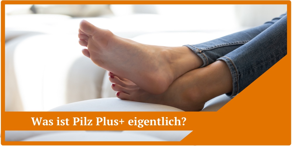 pilz plus+ test kapseln