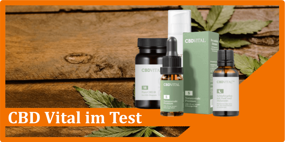 CBD Vital Titelbild