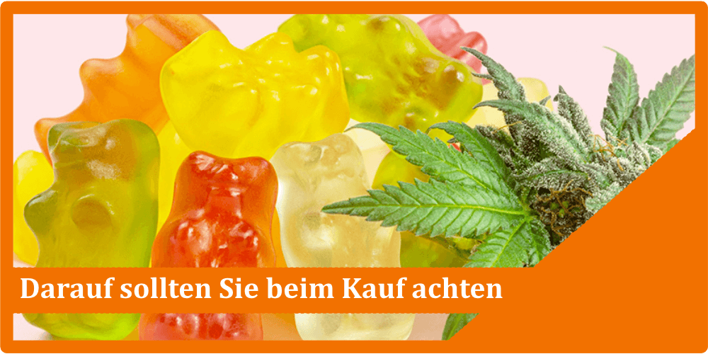 CBD Fruchtgummis kaufen